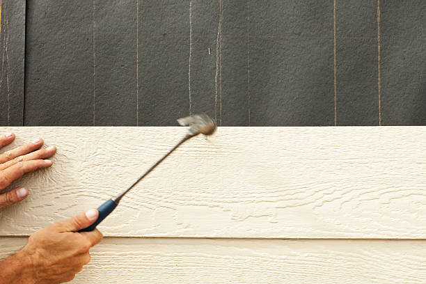 Best Storm Damage Siding Repair  in Fortuna Foothills, AZ